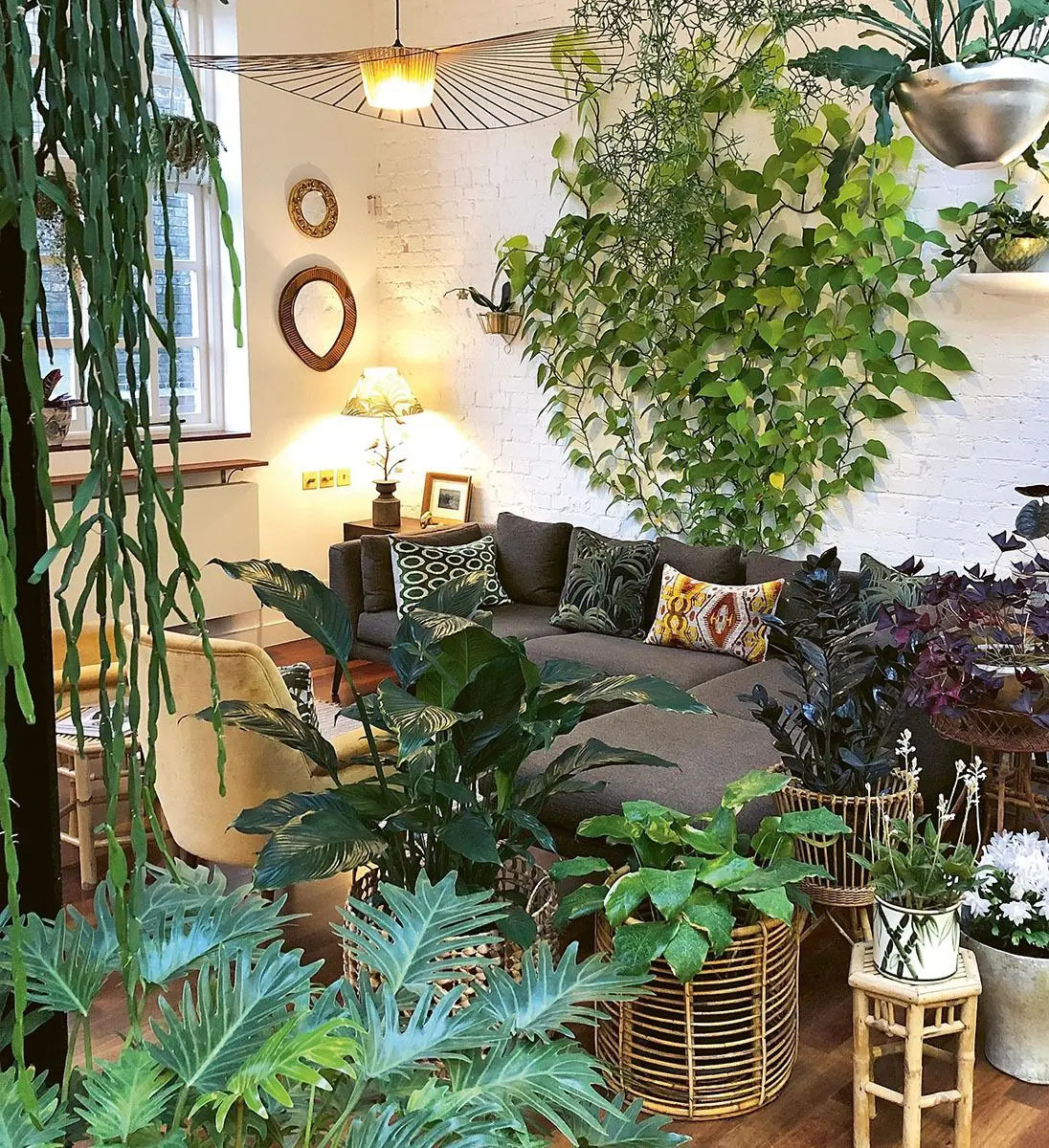 Pflanzen Fürs Wohnzimmer - Kronendach in Grünpflanzen Wohnzimmer